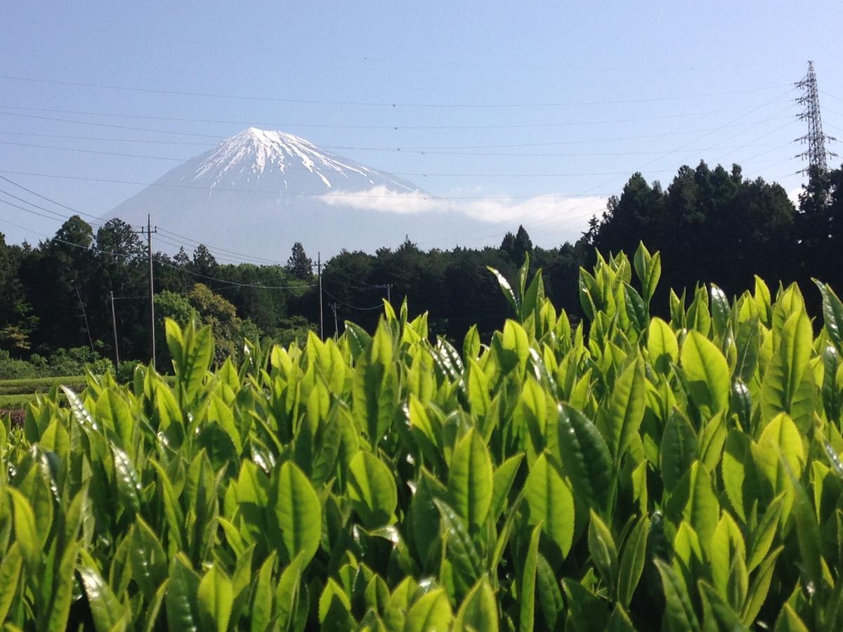 Goraikou Sansou Mt Fuji New 7Th Station Fujinomiya Route Villa ภายนอก รูปภาพ